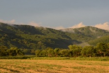 The Land of the Leopard National Park. Photo by: Mikhail Krechmar, taken from leopard-land.ru