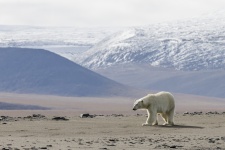 Фото: Екатерина Овсяникова