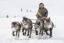 Фото: Владимир Алексеев