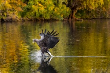 Фото: Сергей Савви