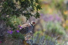 Фото: Александр Шилов