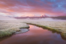 Фото: Андрей Уляшев Фото: Андрей Уляшев