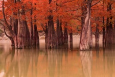 Фото: Екатерина Бахмацкая Фото: Екатерина Бахмацкая