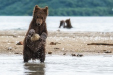 Фото: Игорь Иванко Фото: Игорь Иванко