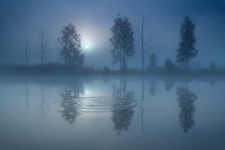Фото: Вадим Балакин Фото: Вадим Балакин