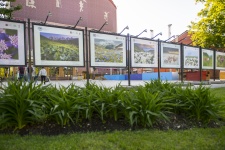 Фото: пресс-служба РГО