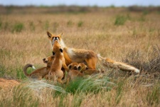 Фото: Ростислав Машин