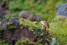Фото: Юрий Коковин