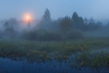 Фото: Арсений Кашкаров