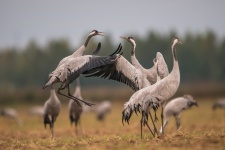 Фото: Александр Маркелов
