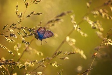 Фото: Марина Мурашова 