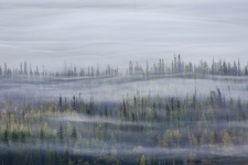 Фото: Александр Заика Фото: Александр Заика