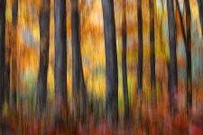 Фото: Валерия Зверева