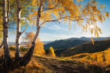 Фото: Павел Силиненко