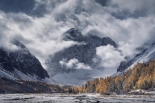 Дмитрий Купрацевич