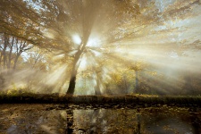 Фото: Дмитрий Кулагин