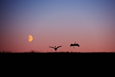 Фото: Тимур Ахметов Фото: Тимур Ахметов