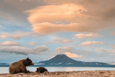 Фото: Игорь Иванко Фото: Игорь Иванко