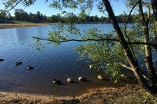 Верхнее Суздальское озеро в Выборгском районе Петербурга. Фото: Александр Ингилевич