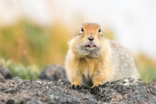 Фото: Егор Власов