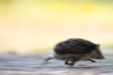 Фото: Алексей Волков