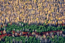Фото: Константин Толоконников Фото: Константин Толоконников