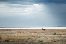 Фото: Вадим Федотов Фото: Вадим Федотов