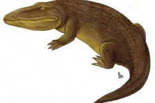 Ветлугозавр. Фото из открытых источников