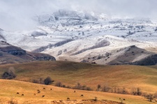 Фото: Евгений Андреев