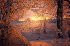 Фото: Дмитрий Кулагин 