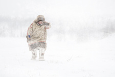 Фото: Владимир Алексеев