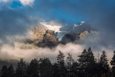 Фото: Алексей Самойленко