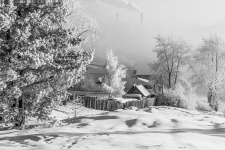 Фото: Сергей Чикишев