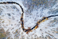 Фото: Антон Агарков