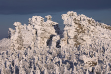 Фото: Владимир Алексеев