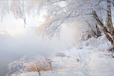 Фото: Наталья Беленцова 