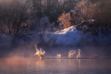 Фото: Николай Денисов