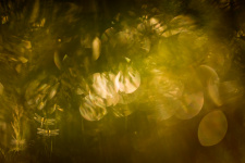 Фото: Татьяна Нерикова