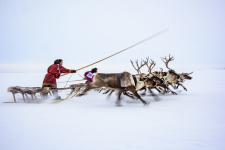 Фото: Виталий Дворяченко 