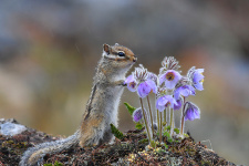 фото: Юрий Коковин