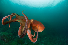 Фото: Алексей Кондратюк