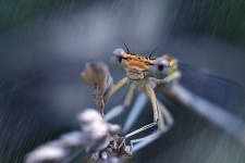 Фото: Виктория Быканова