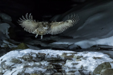 Фото: Алексей Сулоев