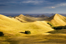 Фото:  Андрей Черкасов