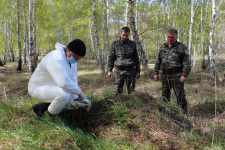 Скорая ветеринарная помощь в заказнике "Кирзинский". Фото Д. Плешковой