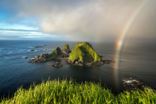 Фото: Алексей Харитонов