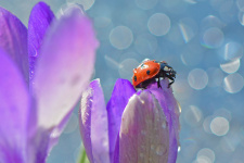 Фото: Юлия Абрамова