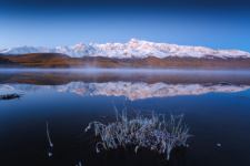 Фото: Алексей Оборотов