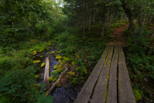 Сихотэ-Алинский государственный биосферный заповедник. Фото: Александр Хитров, участник фотоконкурса РГО «Самая красивая страна»