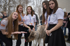 Фото предоставлено участниками фестиваля "Фрегат "Паллада"